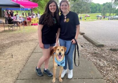 A Paws-itively perfect Bark in the Park hosted by PAHS