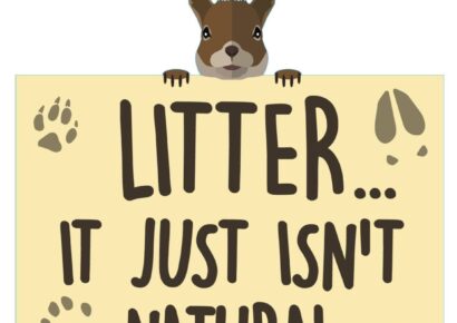 Stop the madness – don’t be a litter bug