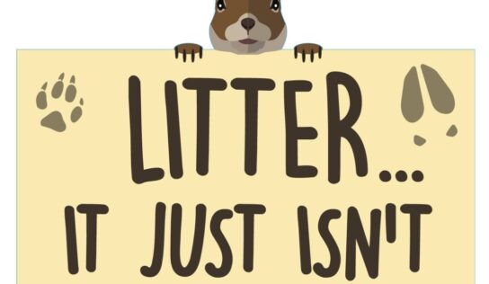 Stop the madness – don’t be a litter bug