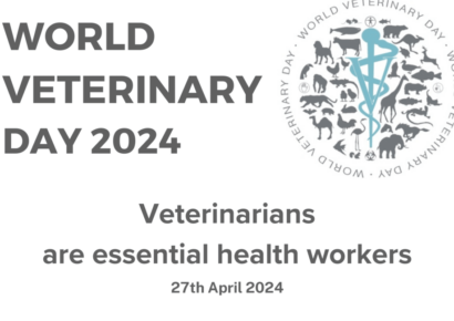 World Veterinary Day: Thankful for services they provide