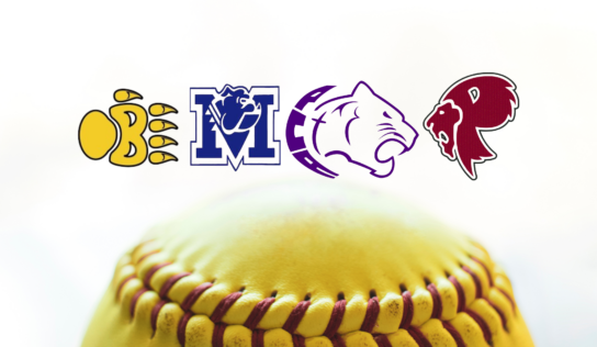 2024 All Autauga County Softball Team  