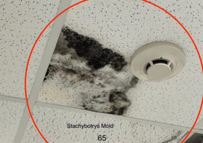Two reports concerning handling of mold in Autauga Jail presented