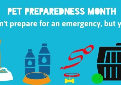 June is National Pet Preparedness Month; Now is the time to make a plan