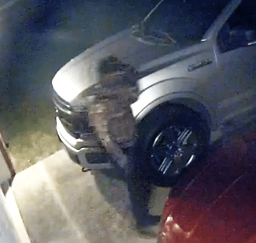Prattville Police Seeks suspect in multiple vehicle burglaries