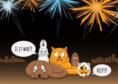 Fireworks are on the way so make a plan for pets now