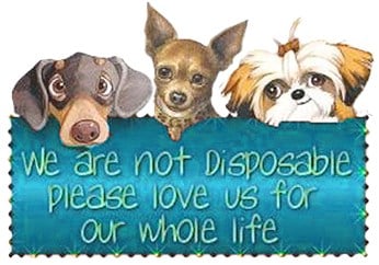 Be responsible and think before you obtain your next pet