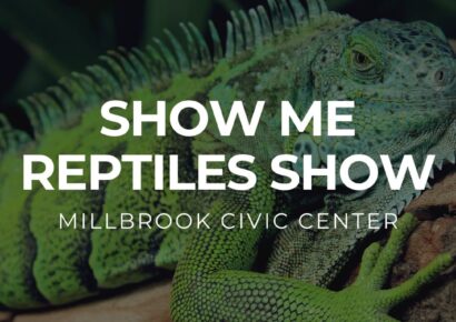 Reptile Show coming to Millbrook Civic Center Saturday! Kids under 6 are FREE