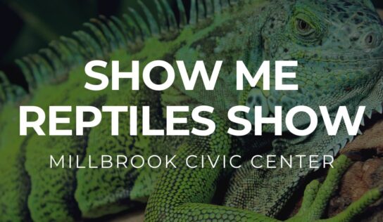 Reptile Show coming to Millbrook Civic Center Saturday! Kids under 6 are FREE