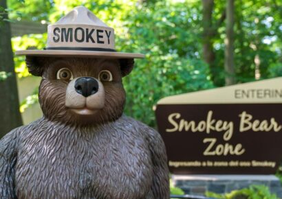 Trying to branch out this summer? Get between the trees and celebrate National Forest Week!