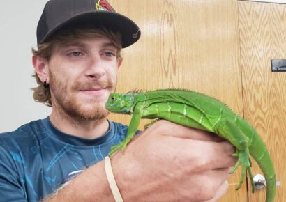 Show Me Reptile comes to Millbrook with thrills and chills