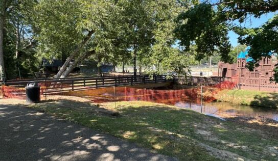 Repairs coming to pedestrian bridges at Village Green Park in Millbrook