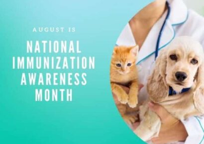 Are your pets up to date? August is National Immunization Awareness Month