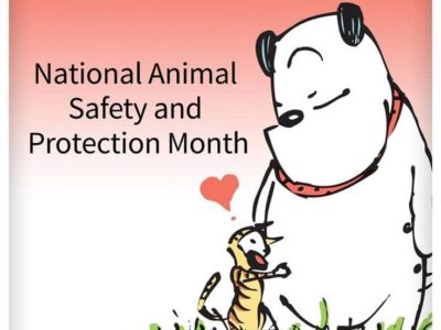 October is National Animal Safety and Protection Month