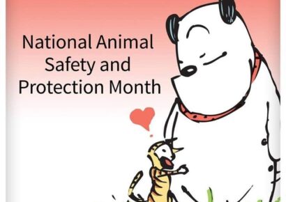 October is National Animal Safety and Protection Month