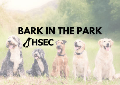 Bark in the Park Rescheduled