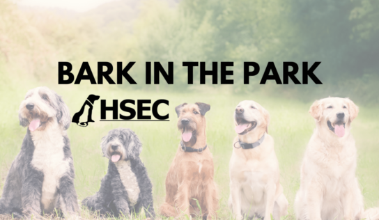 Bark in the Park Rescheduled
