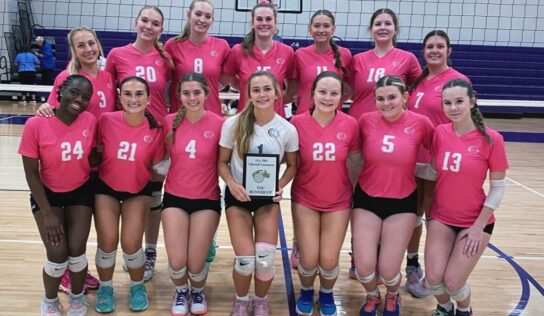 PCA Volleyball: Danville High School Tournament of Champions held Saturday