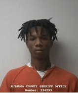 Video captures assault on Autauga County School Bus; one in custody