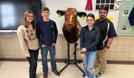 New bovine simulator brings agriscience learning to life at Billingsley School