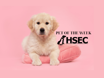 Humane Society of Elmore County Pet of the Week – Ricki