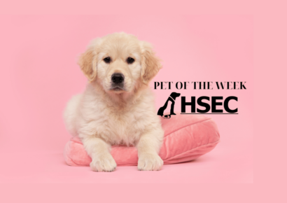 Humane Society of Elmore County Pet of the Week – Ricki