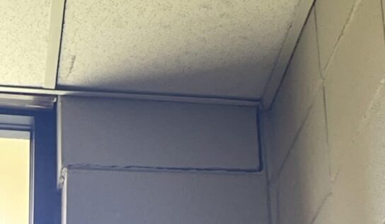 Prattville Library closure sparks action, board looks to future with new Building Committee 