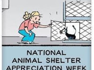 National Animal Shelter Appreciation recognized