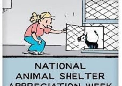 National Animal Shelter Appreciation recognized