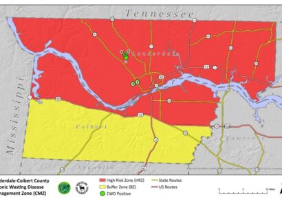 Mandatory CWD Testing Dates Announced for Lauderdale and Colbert Counties