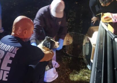 Vehicle crashes into deep ravine in Millbrook Friday night resulting in fatality