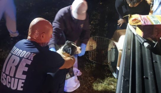 Vehicle crashes into deep ravine in Millbrook Friday night resulting in fatality