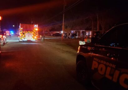 Millbrook – Suspected Arson leads to death of dogs, damage and an arrest
