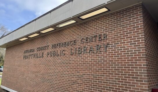 Prattville residents speak of support, concern over Library Board appointees; Council approves both candidates