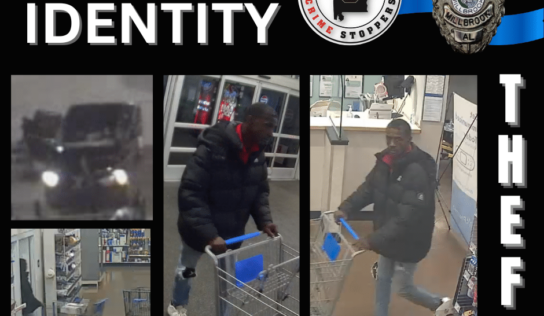 Millbrook – Police Seeking Information in Felony Theft Investigation – Cash Reward Offered