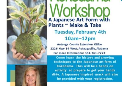 Kokedama history, techniques experience coming to Autauga County Extension Office Feb. 4; Register now