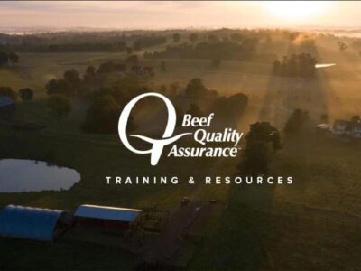 Extension office to hold Beef Quality Assurance Training in Autaugaville