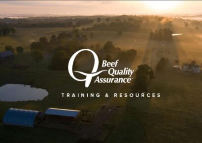 Extension office to hold Beef Quality Assurance Training in Autaugaville