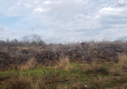 Free Mulch coming to Millbrook residents soon