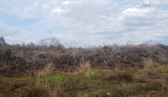 Free Mulch coming to Millbrook residents soon