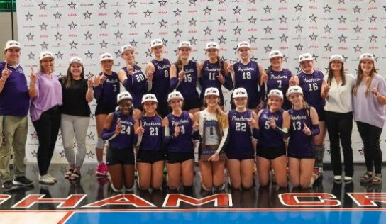 PCA Volleyball Wins Coach, Player and Setter of the Year for AHSAA Class 4A by al.com