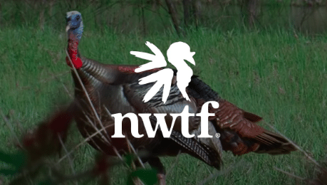 Elmore County NWTF Chapter to Host Free Jakes Youth Event