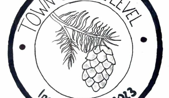 Public Input Meetings coming for Pine Level residents