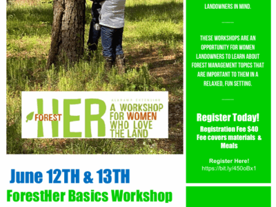 Alabama Cooperative Extension System to host ForestHER Basics workshop June 12-13 in Jemison