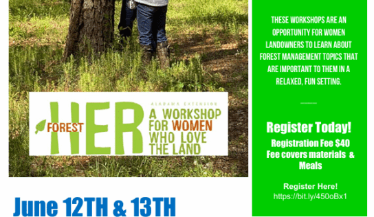 Alabama Cooperative Extension System to host ForestHER Basics workshop June 12-13 in Jemison