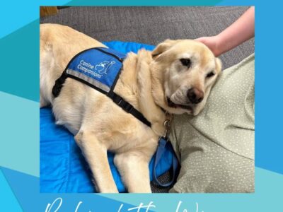 Butterfly Bridge: Meet Zurg, the Hero dog who brings calm in midst of chaos