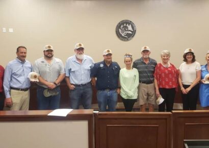 Millbrook Council has first reading of ordinance designating Main Street Development area