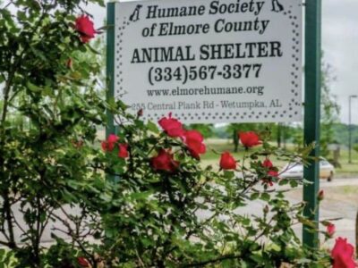 Benefit Poker Run, Live Music June 21 to benefit HSEC thanks to Punishers LEMC Three Rivers