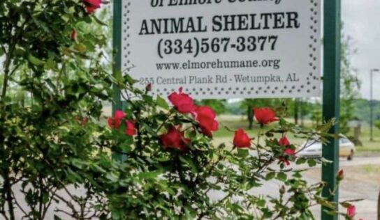 Benefit Poker Run, Live Music June 21 to benefit HSEC thanks to Punishers LEMC Three Rivers