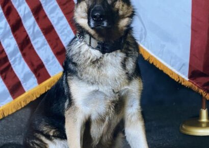 More than just a Dog: ALEA Honors the Life and Service of Retired K-9 Pici