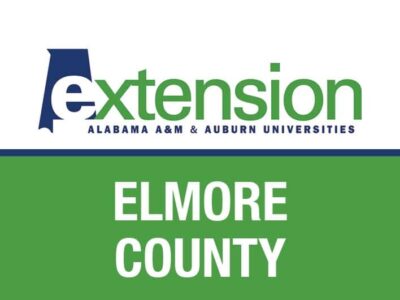 Food Preservation and Canning Safety Tips: